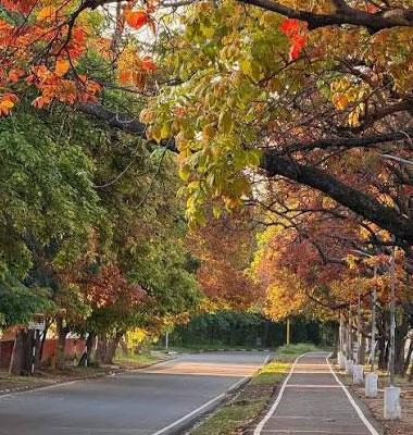 Chandigarh